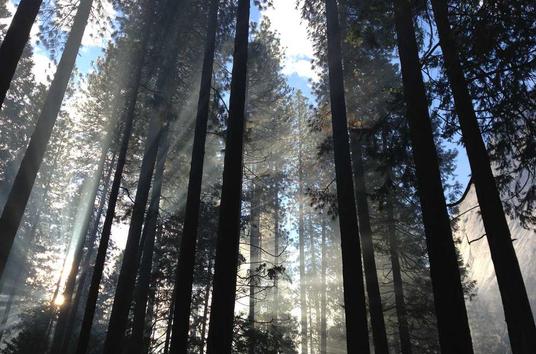 Neque porro quisquam est qui dolorem ipsum quia dolor sit amet